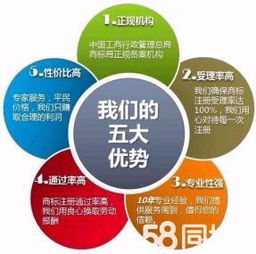五大企業(yè)服務(wù)優(yōu)勢(shì)助力創(chuàng)業(yè)者快速落地 免費(fèi)注冊(cè)、代理記賬與稅務(wù)規(guī)劃全解析